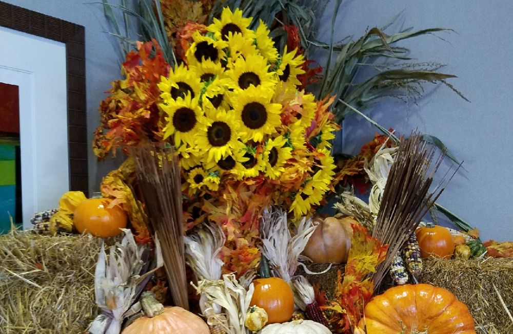 Holiday Décor In Fort Lauderdale, FL