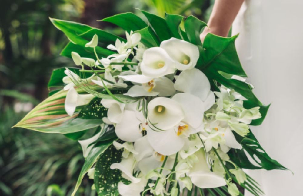 Wedding Flowers & Complete Bridal Design In Fort Lauderdale, FL